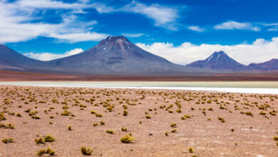 The most intense sunlight on Earth can be found in the Atacama Desert