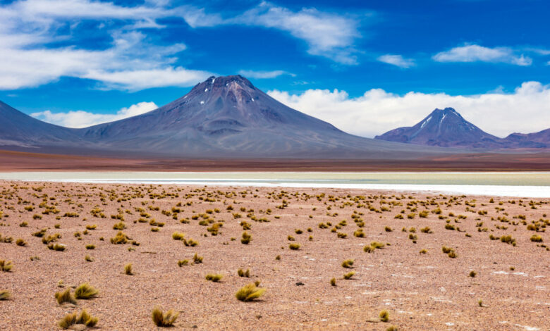 The most intense sunlight on Earth can be found in the Atacama Desert The most intense sunlight on Earth can be found in the Atacama Desert