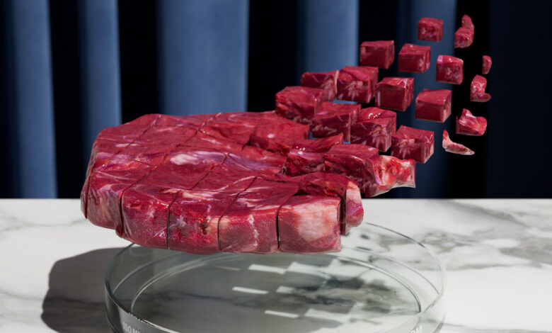 Opinion | Cultivated Meat’s Empty Promise of Revolution Opinion | Cultivated Meat’s Empty Promise of Revolution