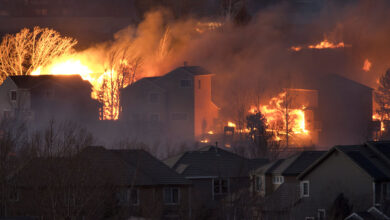 Grassland and shrubland fires destroy more U.S. homes than forest fires