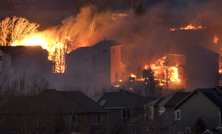 Grassland and shrubland fires destroy more U.S. homes than forest fires Grassland and shrubland fires destroy more U.S. homes than forest fires