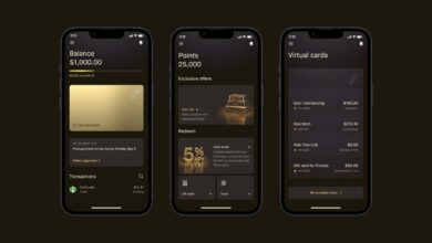 Robinhood’s new Gold Card, BaaS challenges and the tiny startup that caught Stripe’s eye