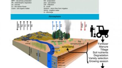 Climate mitigation in agricultural production systems through sustainable resource management – FONA