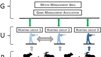 Factors promoting hunting groups’ sustainable harvest of moose in a co-management system