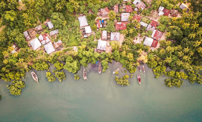 The cultural evolution of collective property rights for sustainable resource governance The cultural evolution of collective property rights for sustainable resource governance
