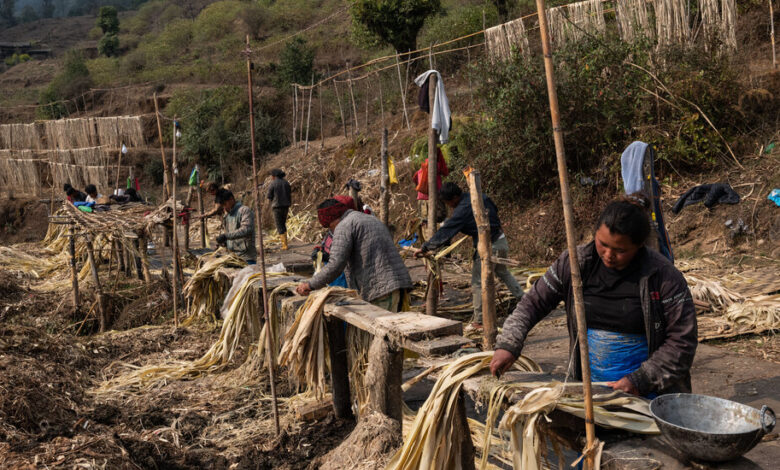 On Himalayan Hillsides Grows Japan’s Cold, Hard Cash On Himalayan Hillsides Grows Japan’s Cold, Hard Cash