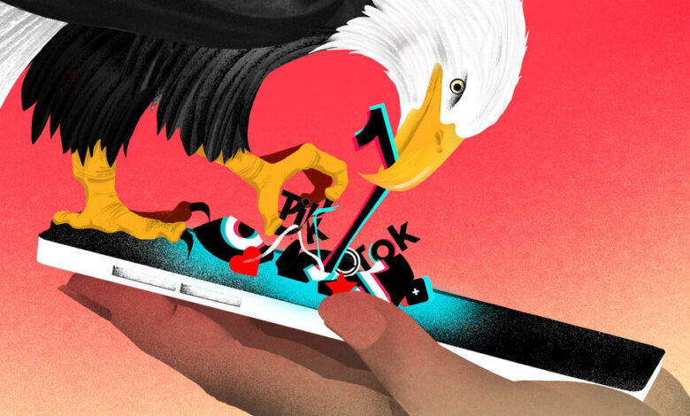What a TikTok Ban Would Mean for the U.S. Defense of an Open Internet What a TikTok Ban Would Mean for the U.S. Defense of an Open Internet