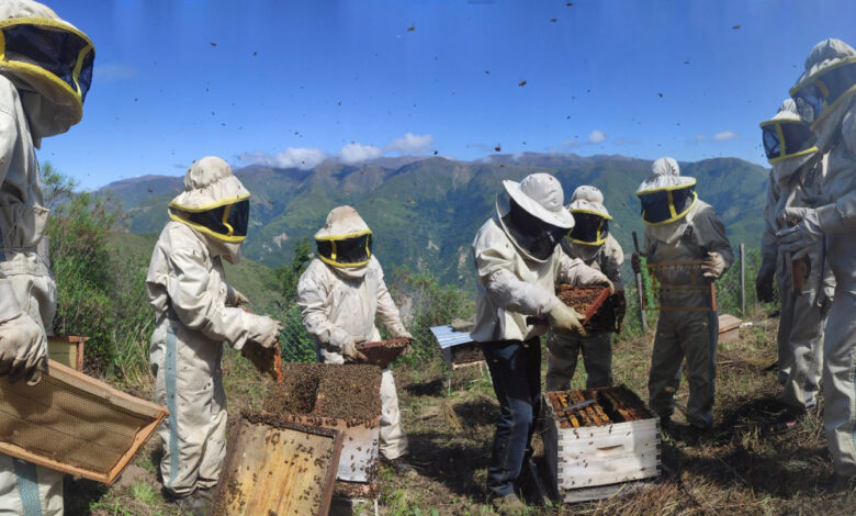 Ximena Velez-Liendo is saving Andean bears with honey Ximena Velez-Liendo is saving Andean bears with honey