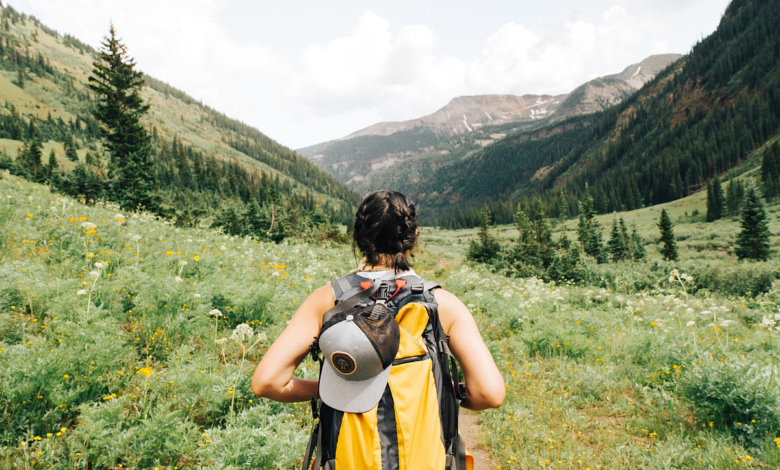 From Data Scientist to ML / AI Product Manager | by Anna Via | Apr, 2024 From Data Scientist to ML / AI Product Manager | by Anna Via | Apr, 2024