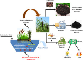 Unlocking the potential of wetland biomass: Treatment approaches and sustainable resource management for enhanced utilization