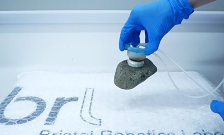 Scientists create octopus-inspired ‘super strong’ robotic suction cups Scientists create octopus-inspired ‘super strong’ robotic suction cups