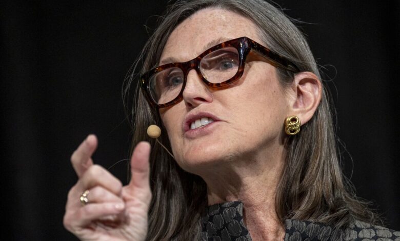 Cathie Wood’s Fintech ETF Bleeds Assets After 93% Return Last Year Cathie Wood’s Fintech ETF Bleeds Assets After 93% Return Last Year
