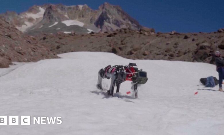 Engineers in Oregon train dog robot to walk on Moon Engineers in Oregon train dog robot to walk on Moon