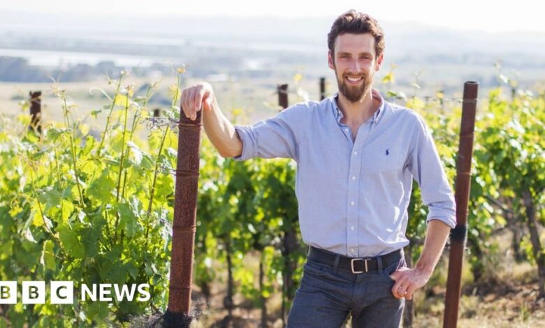‘AI helps me to make wine for younger drinkers’ ‘AI helps me to make wine for younger drinkers’