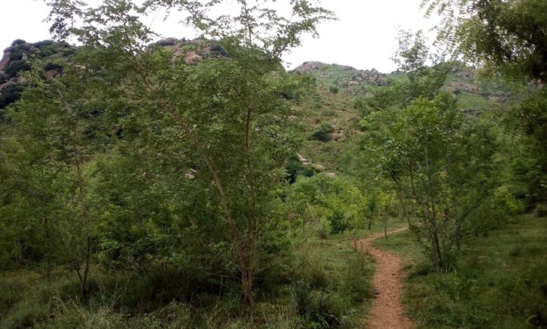 Alleviating the Impending Water Scarcity Through Sustainable Water Resource Management Alleviating the Impending Water Scarcity Through Sustainable Water Resource Management