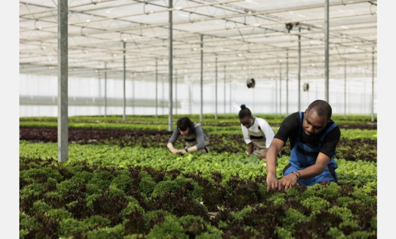 4-day course to empower horti entrepreneurs 4-day course to empower horti entrepreneurs