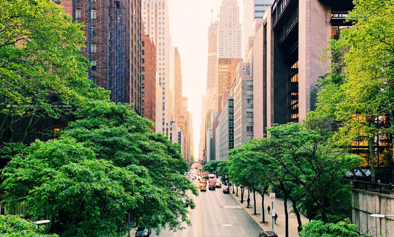 Heat waves cause more illness and death in U.S. cities with fewer trees Heat waves cause more illness and death in U.S. cities with fewer trees