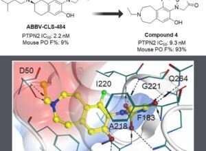 Insilico Medicine develops novel PTPN2/N1 inh