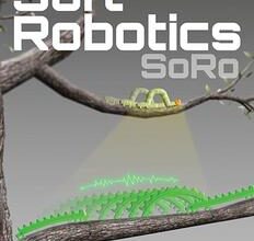 Soft Robotics appoints new Deputy Editor-in-C