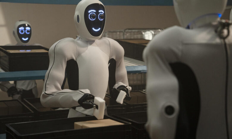 The robots built to take over boring household tasks The robots built to take over boring household tasks