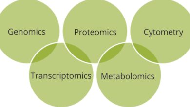 Using Artificial Intelligence for Monoclonal Antibody Discovery William Whitford