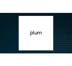 1713511315 plum acquisition corp i logo 1200x675.jpg
