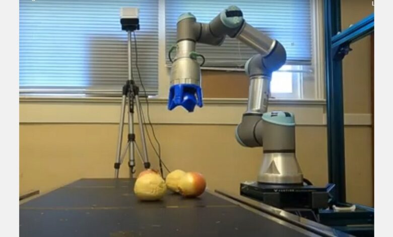Using robotics to help sort onions on Georgia farms Using robotics to help sort onions on Georgia farms