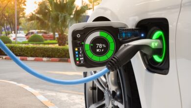 David Williams: Are electric vehicles the most subsidized product in America?