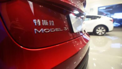 Low-Cost Tesla Model 2 Or ‘Model 2.5’ Could Come By Late This Year But Opinions Vary On Form