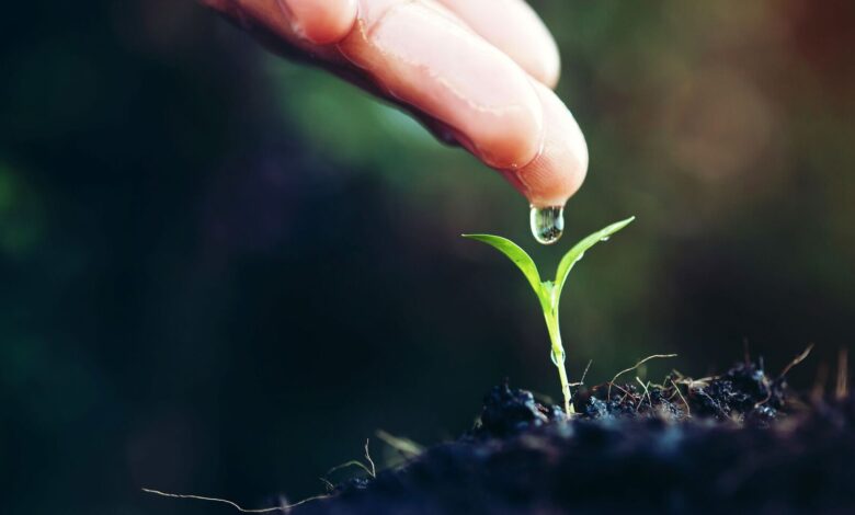 Sustainable consumption and production policies | UNEP Sustainable consumption and production policies | UNEP