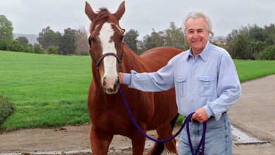 Martin Wygod, a Winner on Wall Street and the Racetrack, Dies at 84