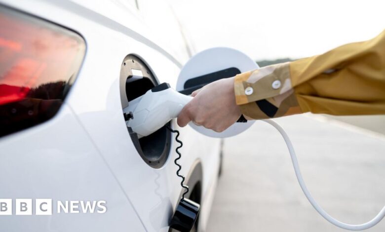 Electric cars lose market share as private sales fall Electric cars lose market share as private sales fall