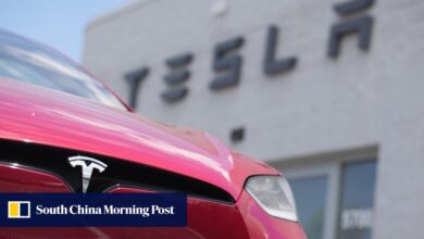 Battle for market share: Tesla cuts EV prices in mainland China in line with the US as sales slow