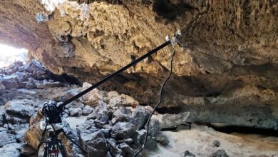 Spiderlike Mars Robot Might One Day Crawl through Unexplored Volcanic Caves