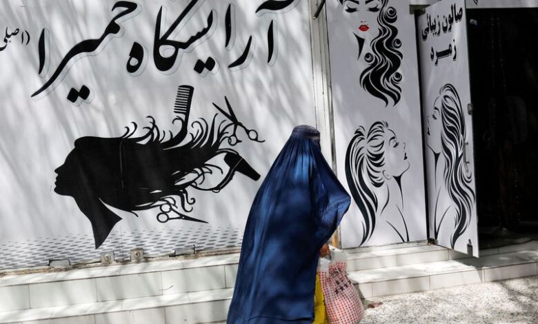 Afghan women turn to entrepreneurship but struggle to access capital Afghan women turn to entrepreneurship but struggle to access capital