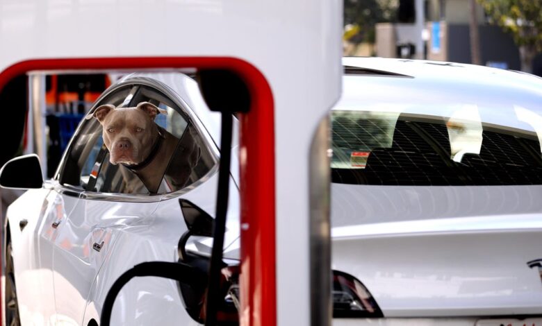 Tesla layoffs hit Supercharger team just as it’s poised to take over EV charging Tesla layoffs hit Supercharger team just as it’s poised to take over EV charging