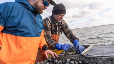 The Most Sustainable Fish Is the Most Local. Why Is It So Hard to Find?