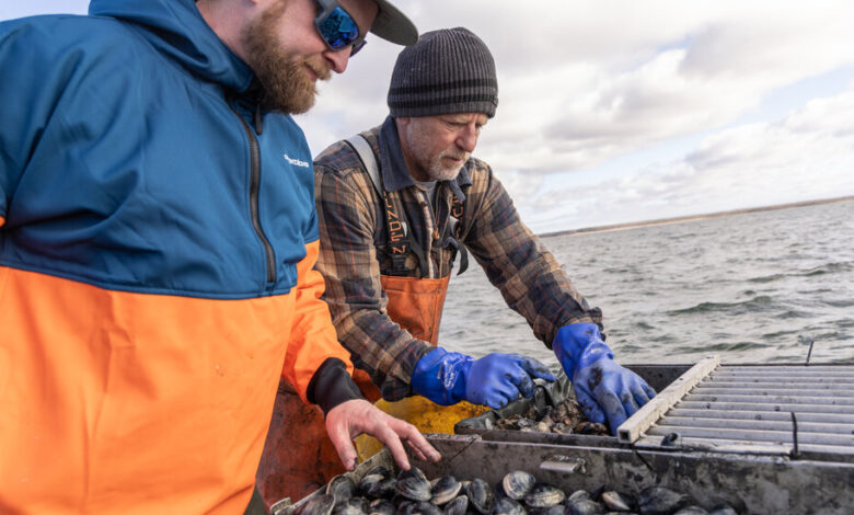 The Most Sustainable Fish Is the Most Local. Why Is It So Hard to Find? The Most Sustainable Fish Is the Most Local. Why Is It So Hard to Find?