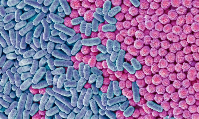 FDA Approves Antibiotic to Treat Urinary Infections FDA Approves Antibiotic to Treat Urinary Infections
