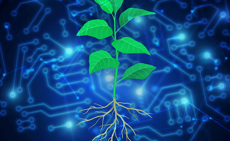 Artificial intelligence helps scientists engineer plants to fight climate change Artificial intelligence helps scientists engineer plants to fight climate change