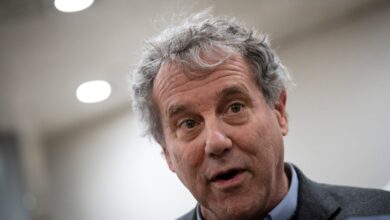 Biden should ban China’s electric cars, Sen. Sherrod Brown says