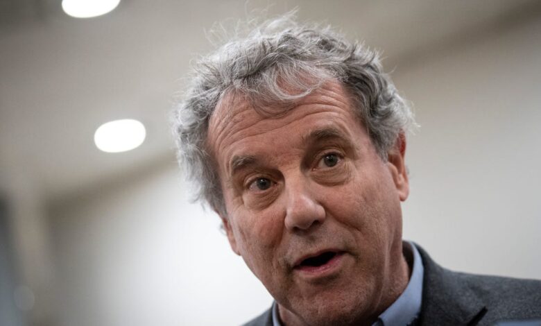 Biden should ban China’s electric cars, Sen. Sherrod Brown says Biden should ban China’s electric cars, Sen. Sherrod Brown says