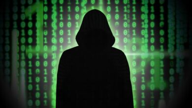 Dutch cybersecurity experts warning companies about global ransomware attack