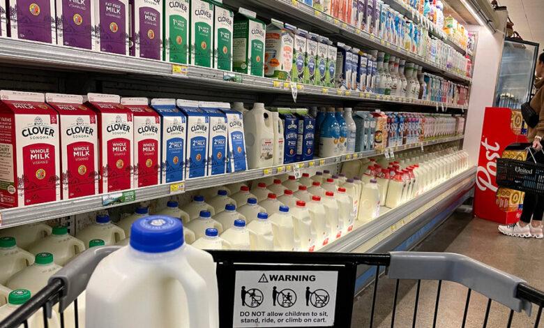 Federal Officials Find No Live Bird Flu Virus in Initial Milk Tests Federal Officials Find No Live Bird Flu Virus in Initial Milk Tests