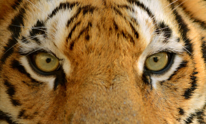 What You Might Have Missed at SAP TechEd 2023: Remember Your ABCs What You Might Have Missed at SAP TechEd 2023: Remember Your ABCs