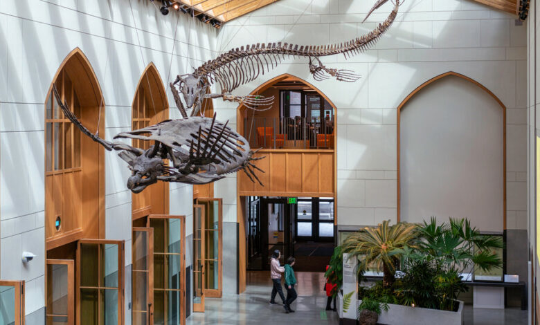 Upgraded Museums Add New Value at Colleges and Universities Upgraded Museums Add New Value at Colleges and Universities