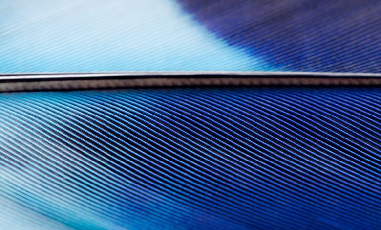 SAP Shapes the Future of Data-Driven Business SAP Shapes the Future of Data-Driven Business