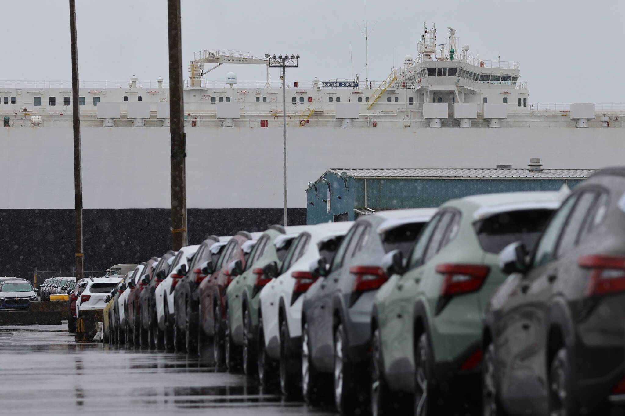 Michael S. Lockett / The Daily World
Rows of cars sit unloaded from the vast roll-on/roll-off car carrier at the Port of Grays Harbor.