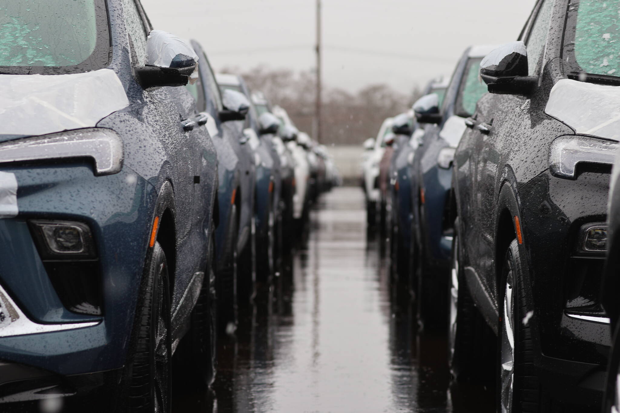 Rows of cars stand ready for further transport at the Port of Grays Harbor. (Michael S. Lockett / The Daily World)