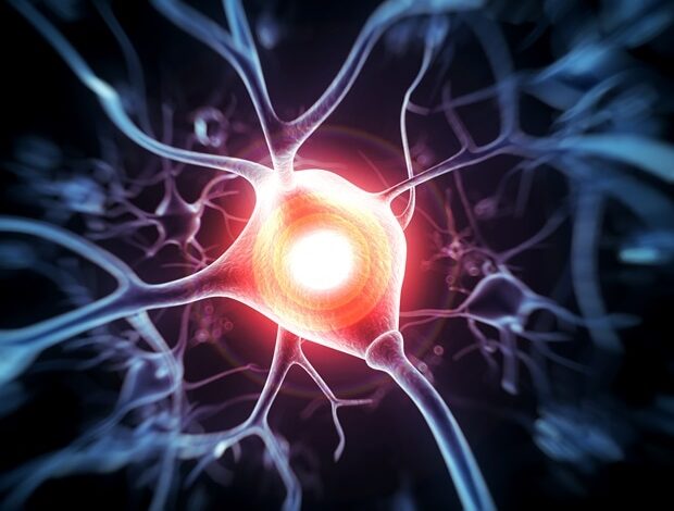 Soft robotic nerve cuffs could revolutionize treatment of neurological conditions Soft robotic nerve cuffs could revolutionize treatment of neurological conditions